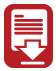 document icon